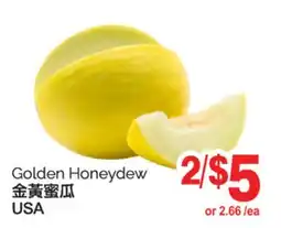 T&T Supermarket GOLDEN HONEYDEW offer