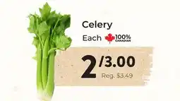 Marche Leo's Celery offer