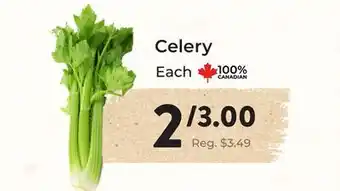 Marche Leo's Celery offer