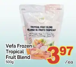 T&T Supermarket VEFA FROZEN TROPICAL FRUIT BLEND, 500g offer