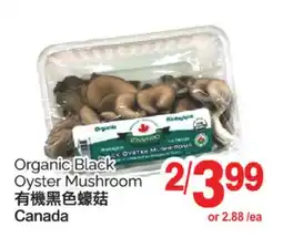 T&T Supermarket ORGANIC BLACK OYSTER MUSHROOM offer