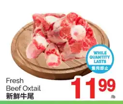 T&T Supermarket FRESH BEEF OXTAIL offer