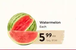 Marche Leo's Watermelon offer