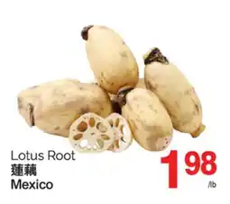 T&T Supermarket LOTUS ROOT offer