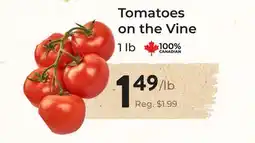 Marche Leo's Tomatoes on the Vine offer