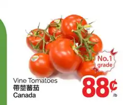 T&T Supermarket VINE TOMATOES offer