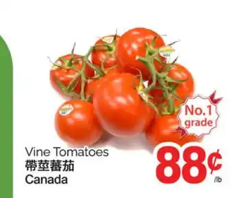 T&T Supermarket VINE TOMATOES offer