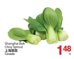 T&T Supermarket SHANGHAI BOK CHOY SPROUT offer