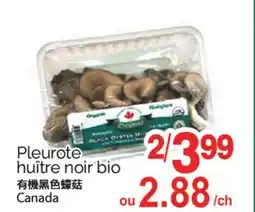 T&T Supermarket PLEUROTE HUÎTRE NOIR BIO offer