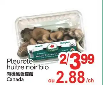 T&T Supermarket PLEUROTE HUÎTRE NOIR BIO offer