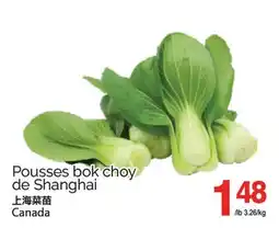 T&T Supermarket POUSSES BOK CHOY DE SHANGHAI offer