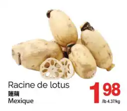T&T Supermarket RACINE DE LOTUS offer