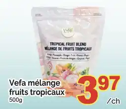 T&T Supermarket VEFA MÉLANGE FRUITS TROPICAUX, 500G offer