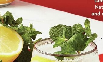 Walmart Menthe offer