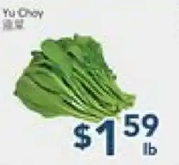Oceans Fresh Food Market Yu Choy offer