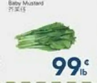 Oceans Fresh Food Market Baby Mustard offer