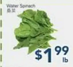 Oceans Fresh Food Market Spinach offer