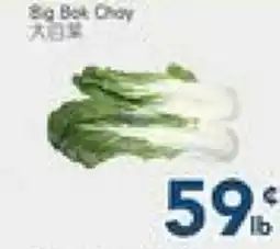 Oceans Fresh Food Market Big Bok choy offer
