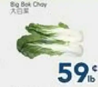 Oceans Fresh Food Market Big Bok choy offer