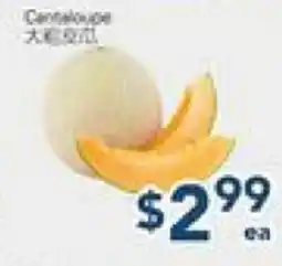 Oceans Fresh Food Market Cantaloupe offer