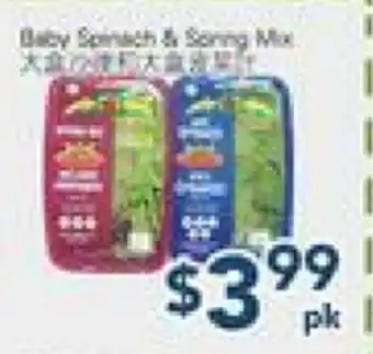 Oceans Fresh Food Market Baby Spinach & Spring Mix offer