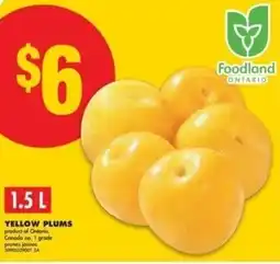 No Frills Yellow plums offer