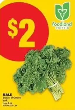 No Frills Kale offer