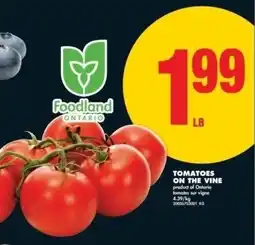 No Frills Tomatoes on the vine offer