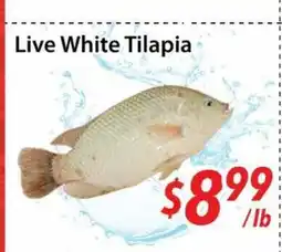 Bestco Food Mart Live White Tilapia offer