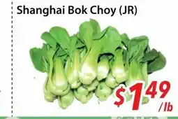 Bestco Food Mart Shanghai Bok Choy (JR) offer