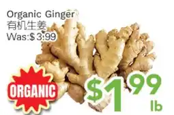 Ample Food Market Organic Ginger offer