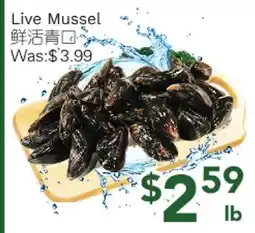 Ample Food Market Live Mussel offer
