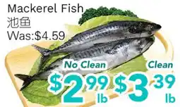 Ample Food Market Mackerel Fish offer