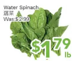 Ample Food Market Water spinach offer