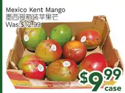 Ample Food Market Mexico Kent Mango offer