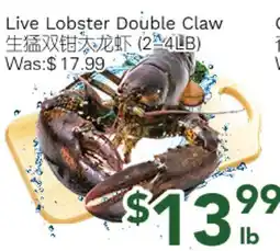 Ample Food Market Live Lobster Double Claw offer