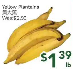 Ample Food Market Yellow Plantains offer