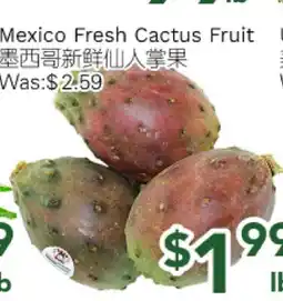 Ample Food Market Mexico Fresh Cactus Fruit offer