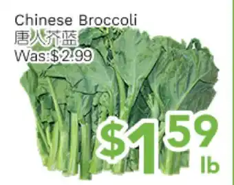 Ample Food Market Chinese Broccoli offer