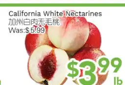 Ample Food Market California White Nectarines offer