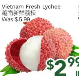 Ample Food Market Vietnam Fresh Lychee offer