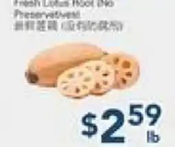 Oceans Fresh Food Market Fresh Lotus Root offer