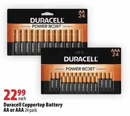 Duracell Coppertop Battery AA or AAA