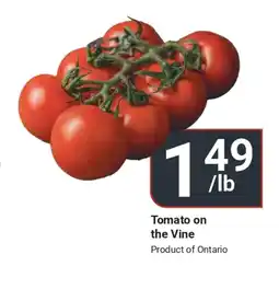 Di Pietro Tomato on the Vine offer