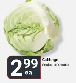 Di Pietro Cabbage offer