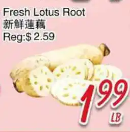 Foody Mart Fresh Lotus Root offer