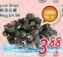 Foody Mart LIVE SNAIL offer