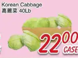 Foody Mart Korean Cabbage offer