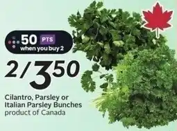 Sobeys Cilantro, Parsley or Italian Parsley Bunches offer
