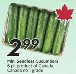Sobeys Mini Seedless Cucumbers offer